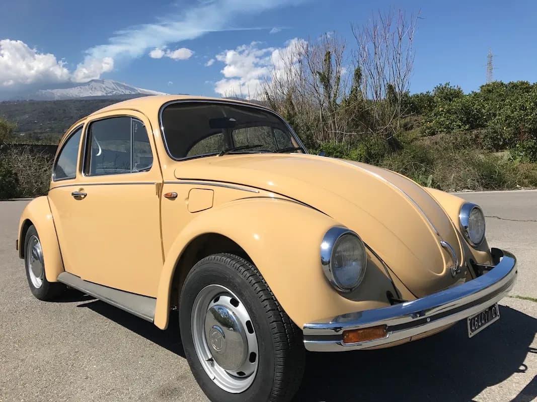Autocarrozzeria Trovato Alfio Noleggio Auto - Immagine 1