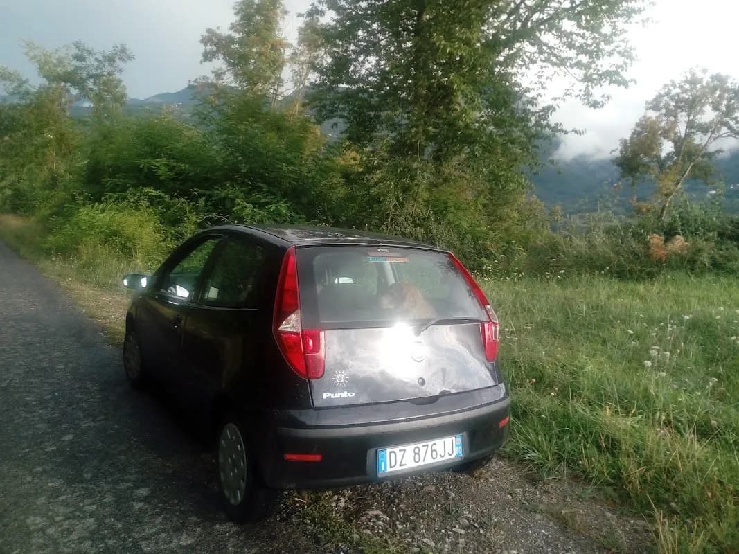 Autofficina Toscani - Immagine 1