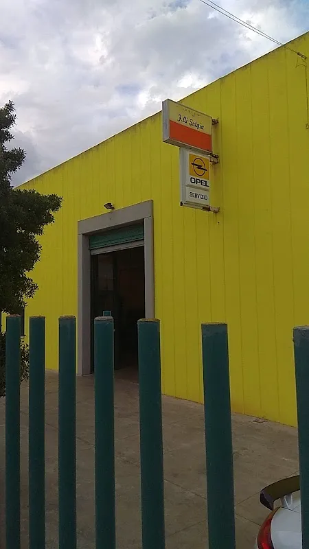 Autofficina E Autocarrozzeria F.lli Sotgia Snc - Immagine 1