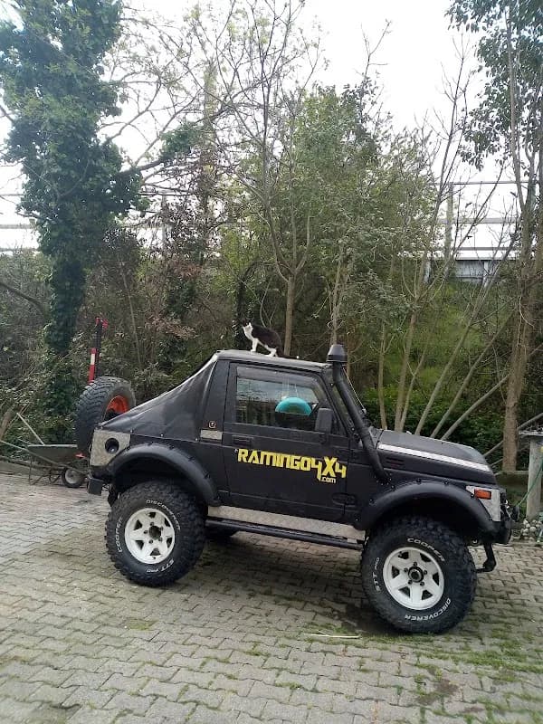 Autofficina Raggi Simone - Immagine 1