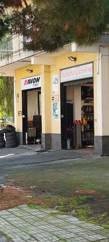 Belnato Gomme di Belnato Paolo - Immagine 1