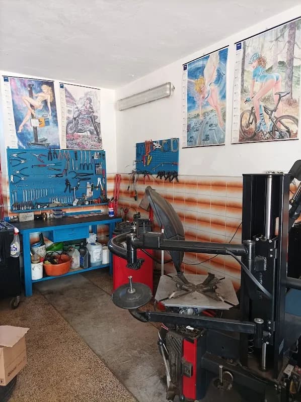 Autofficina Placentino - Immagine 1